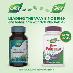 Saw Palmetto berries from Florida Everglades used in Nature's Way formula.