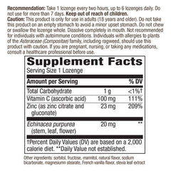 Nature's Way Zinc Natural Berry lozenges label close-up, highlighting natural berry flavor.