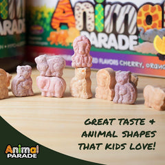 NaturesPlus Animal Parade MagKidz animal-shaped tablets support healthy activity and taste.