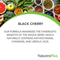 Extended-release tablet inside view from NaturesPlus Herbal Actives Black Cherry.