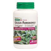 NaturesPlus Herbal Actives Coleus Forskohlii bottle highlights high-potency capsules for daily use