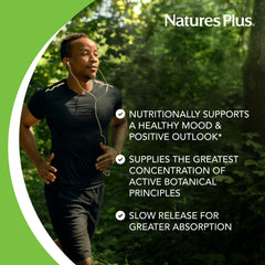 NaturesPlus Herbal Actives St John's Wort tablets in hand showing size and shape