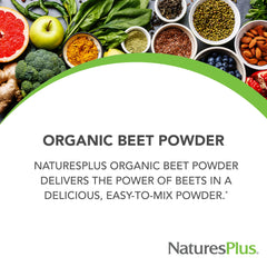 NaturesPlus Organic Beet Powder scoop ready for precise smoothie prep.