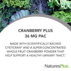 Nature's Plus PRO Cranberry Plus label close-up showing PACs content for urinary benefits.
