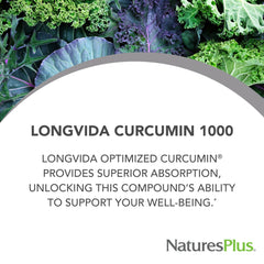 Label closeup highlights optimized absorption and potent formula.