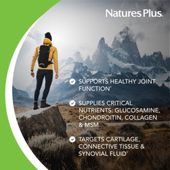 Label highlights glucosamine chondroitin MSM ingredients on NaturesPlus bottle