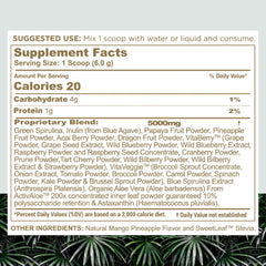 nbpure Earthy Andy Paradise smoothie serving—delicious mango pineapple flavor boosts routines.