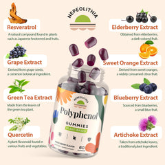 Nepeolithia Polyphenol Gummies ingredients blend featuring turmeric elderberry and grape extract