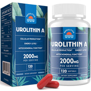 Nepeolithia Urolithin A bottle close-up for daily wellness routine.