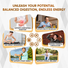 NESSARIT ingredients list featuring White Kidney Bean and Berberine synergy