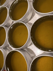 Organic Stinging Nettle Salve being massaged into dry skin for hydration