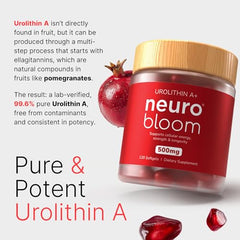 Neuro Bloom Urolithin A pomegranate extract closeup emphasizing natural origin.