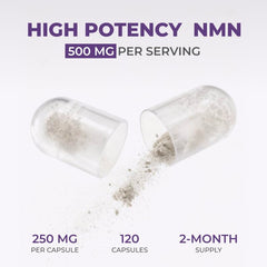 Neurogan NMN capsules closeup showing evenly sized pills for easy dosing