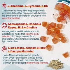 NEVISS 11-in-1 Brain Gummies gummy closeup highlights chewy texture and pleasant taste.