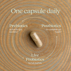 New Chapter All-Flora Probiotic packaging close-up emphasizing quality and identity DNA testing.