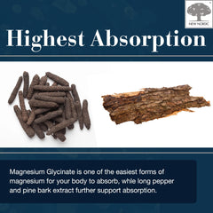 NEW NORDIC pine bark ingredient detail illustrates natural antioxidant support.