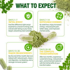 Newseel Organic Moringa Powder Capsules label detail signaling organic quality.
