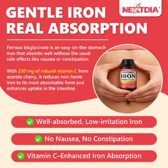 Ingredients panel of Nextdia iron formula featuring absorption-supporting nutrients.