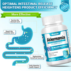 Niuloer probiotic capsule close-up showing delayed-release coating for gut delivery