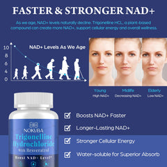 Nokuba NAD supplement with resveratrol bottle focuses on antioxidant synergy for cellular vitality.