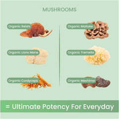 Non Fungible Mushrooms Life Daily powder in tea cup for a calming ritual.