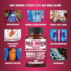 NootriLabs Naturals Sea Moss capsules close-up highlighting mineral support