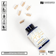 Nootropics Depot hesperidin capsules label detail, highlighting transparent ingredients and 90% citrus extract.