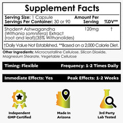 Shoden Ashwagandha capsule close-up showing high withanolide glycosides for wellness support.