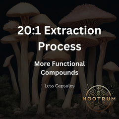 Nootrum Mushrooms ingredients panel shows Lion’s Mane and Cordyceps for brain support.