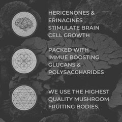 Nootrum Mushrooms label packaging highlights premium blend for overall wellness.