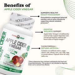 Nopalina NOPA Leaf capsules beside a healthy meal imply support for weight management.