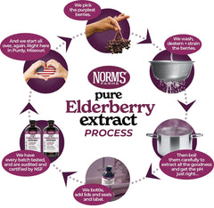 BeeWellness Syrup being poured to reveal smooth, spiced elderberry flavor