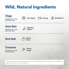 Close-up of chaga mushroom powder, rich in natural nutrients.