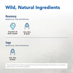 Wild oregano essence in Neuroloft adds natural brightness to daily rituals.
