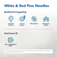 North American Herb & Spice Pine Power Plus pine needles closeup emphasizes forest-sourced nourishment.