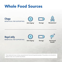 Wild chaga maca ingredients visual highlighting natural sourcing and flavor.