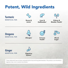 Close-up of Turmeric Power-Plus label detailing curcuminoids and essential oils