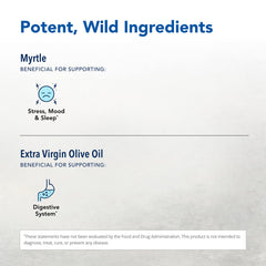 Close-up of Myrtle oil with olive oil base, non-GMO