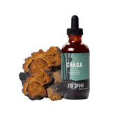 North Spore chaga tincture bottle showing premium extract for daily energy support
