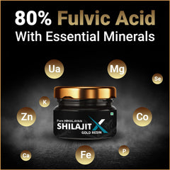NOTTY BOY Shilajit resin nano gold close-up, premium formulation