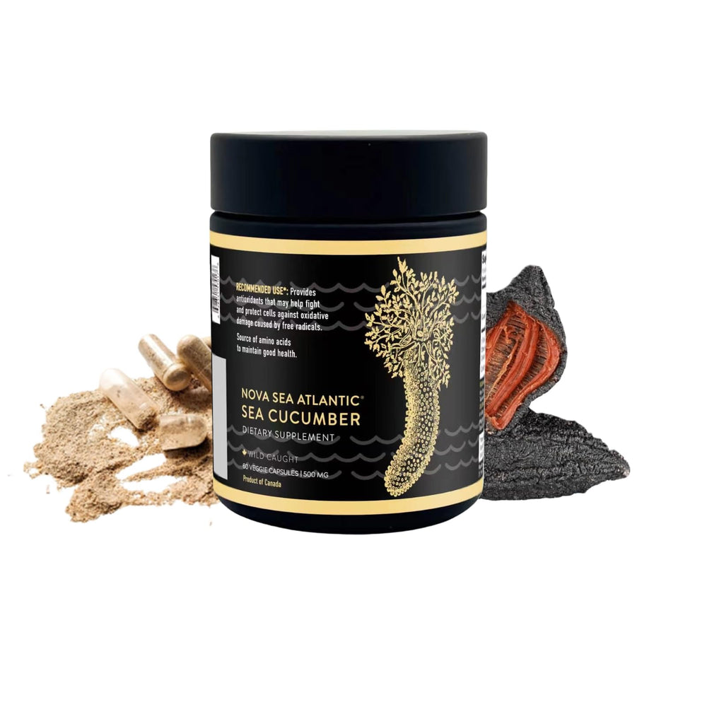 Nova Sea Atlantic sea cucumber capsules bottle front view for daily wellness support