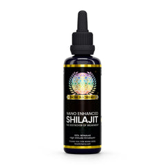 NOW ALCHEMY Nano Enhanced Shilajit Elixir bottle showing mineral-rich blend for daily vitality.