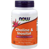 NOW Foods Choline and Inositol 500mg bottle shown for daily brain support.