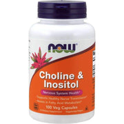 NOW Foods Choline and Inositol 500mg bottle shown for daily brain support.