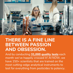 NOW Foods Chitosan 500 mg bottle beside digestive system graphic showing fat binding.