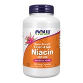 NOW Foods Niacin bottle-front showing double-strength 500 mg capsules for daily support