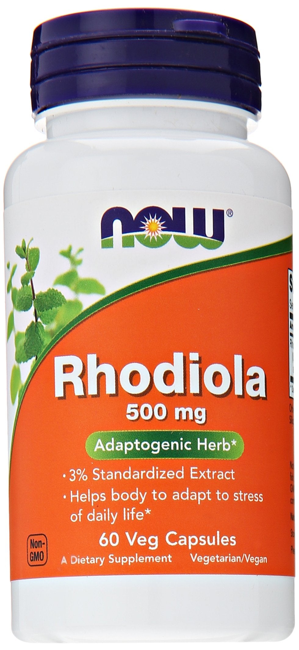 NOW Foods Rhodiola Rosea 500mg bottle close-up, supporting balanced energy and focus.