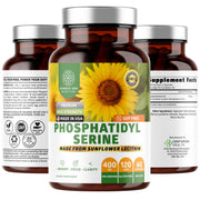 Number One Nutrition PS400 sunflower bottle suggesting memory support for daily use.