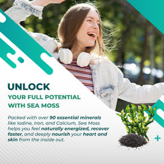 Close-up of Nurafuse Sea Moss capsules ready for daily use.