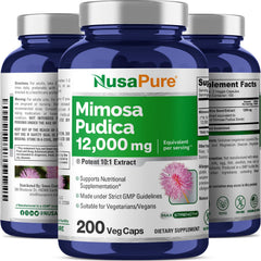 NusaPure Mimosa Pudica Seed manufacturing facility image signals quality